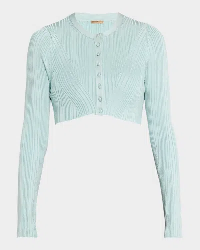 Adam Lippes Pointelle Compact Jacquard Crewneck Crop Cardigan In Mist
