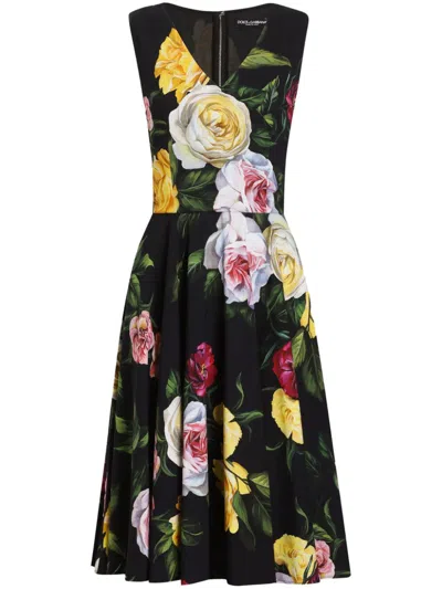 Dolce & Gabbana Peony And Rose-print Cady Midi Dress With Circle Skirt In Multi