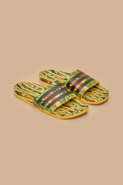 Farm Rio Active Adidas Adilette Birds Of Paradise Semi Spark