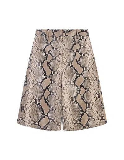 Jil Sander Python-effect Leather Bermuda Shorts In Brown
