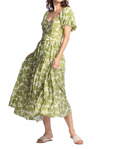 Pink Martini Rachel Dress In Green