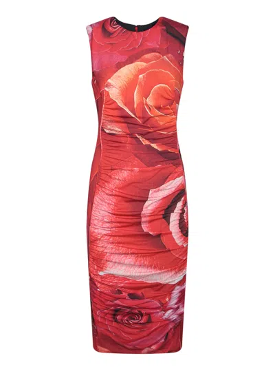 Roberto Cavalli Garden Rose Midi Sheath Dress In Red