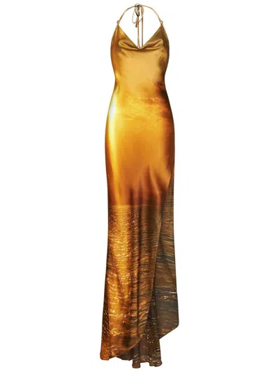 Roberto Cavalli Long Dress