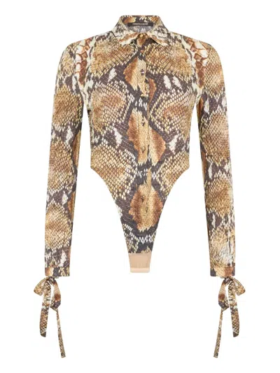 Roberto Cavalli Snakeskin-print Bodysuit In Brown