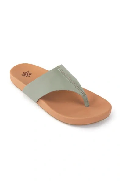 The Sak Everly Sandal In Meadow