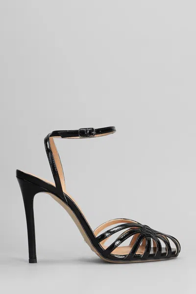The Seller Sandals In Black